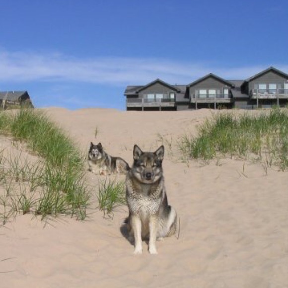 Meet your Posher, Sanddra - Picture 10 of 16